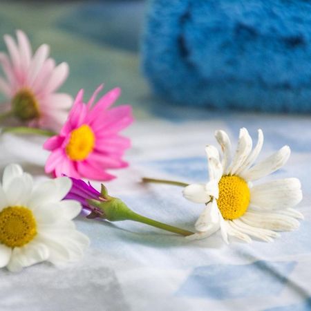Appartamenti Celestina 포르토페라이오 외부 사진
